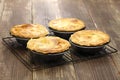 Homemade aussie meat pie Royalty Free Stock Photo