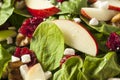 Homemade Autumn Apple Walnut Spinach Salad Royalty Free Stock Photo