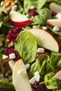 Homemade Autumn Apple Walnut Spinach Salad Royalty Free Stock Photo