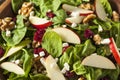 Homemade Autumn Apple Walnut Spinach Salad Royalty Free Stock Photo