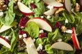 Homemade Autumn Apple Walnut Spinach Salad Royalty Free Stock Photo