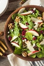 Homemade Autumn Apple Walnut Spinach Salad Royalty Free Stock Photo