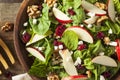 Homemade Autumn Apple Walnut Spinach Salad Royalty Free Stock Photo