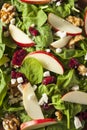 Homemade Autumn Apple Walnut Spinach Salad Royalty Free Stock Photo