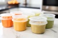 homemade baby food in freezer-safe containers