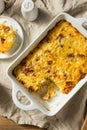 Homemade Bacon Amish Breakfast Casserole Royalty Free Stock Photo