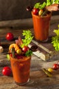 Homemade Bacon Spicy Vodka Bloody Mary Royalty Free Stock Photo