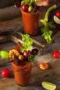 Homemade Bacon Spicy Vodka Bloody Mary Royalty Free Stock Photo