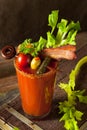 Homemade Bacon Spicy Vodka Bloody Mary Royalty Free Stock Photo