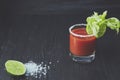 Cocktail Spicy Vodka Bloody Mary with tomatoes and celery on a black table with celery leaves Royalty Free Stock Photo