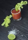 Cocktail Spicy Vodka Bloody Mary with tomatoes and celery on a black table with celery leaves Royalty Free Stock Photo