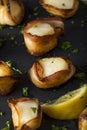 Homemade Bacon Wrapped Scallops Royalty Free Stock Photo