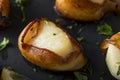 Homemade Bacon Wrapped Scallops Royalty Free Stock Photo