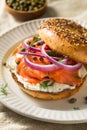 Homemade Bagel and Salmon Lox Royalty Free Stock Photo