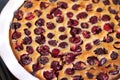 Homemade baked cherry pie cherry clafoutis Royalty Free Stock Photo