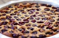 Homemade baked cherry pie cherry clafoutis Royalty Free Stock Photo