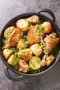 Homemade Baked Chicken Vesuvio with Peas and Potatoes closeup on the black pan. Vertical top view Royalty Free Stock Photo