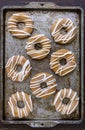 Homemade Baked Cinnamon Pumpkin Donuts