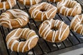 Homemade Baked Cinnamon Pumpkin Donuts