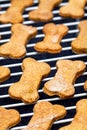 Homemade Baked Dog Biscuits Cooling Royalty Free Stock Photo