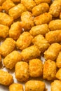 Homemade Baked Fried Tater Tot Potatoes