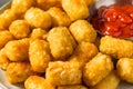 Homemade Baked Fried Tater Tot Potatoes