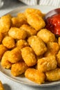 Homemade Baked Fried Tater Tot Potatoes