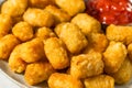 Homemade Baked Fried Tater Tot Potatoes