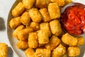 Homemade Baked Fried Tater Tot Potatoes