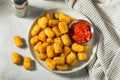 Homemade Baked Fried Tater Tot Potatoes