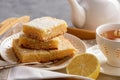 Homemade baked lemon bars and cup of tea. Royalty Free Stock Photo