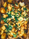 Homemade baked potatoes with garlic and herbs