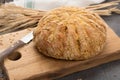 Homemade baked round bread with corn and wheat Royalty Free Stock Photo
