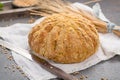 Homemade baked round bread with corn and wheat Royalty Free Stock Photo