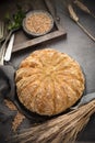 Homemade baked round bread with corn and wheat Royalty Free Stock Photo