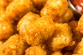 Homemade Baked Tater Tots Potatoes