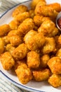 Homemade Baked Tater Tots Potatoes