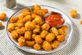 Homemade Baked Tater Tots Potatoes