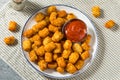 Homemade Baked Tater Tots Potatoes