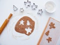 Homemade bakery making, gingerbread cookies in form of Christmas tree, gingerbread man. New year treat for Santa Claus Royalty Free Stock Photo