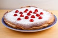 Homemade bakewell pudding Royalty Free Stock Photo