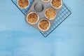 Homemade baking concept - fresh baked muffins on cooling rack, minimal picture, bright blue background, background, top view, copy Royalty Free Stock Photo