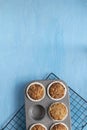 Homemade baking concept - fresh baked muffins on cooling rack, minimal picture, bright blue background, background, top view, copy Royalty Free Stock Photo