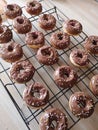 Homemade baking mini doughnuts coated in chocolate and rainbow sprinkles recipe