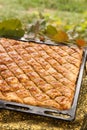 Homemade baklava with nuts and honey in the garden Royalty Free Stock Photo