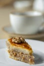 Homemade baklava with nuts and honey Royalty Free Stock Photo