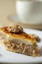 Homemade baklava with nuts and honey Royalty Free Stock Photo