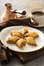 Homemade baklava with nuts and honey Royalty Free Stock Photo