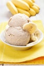 Homemade banana ice cream
