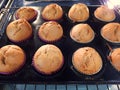 Homemade banana muffins in the oven Royalty Free Stock Photo